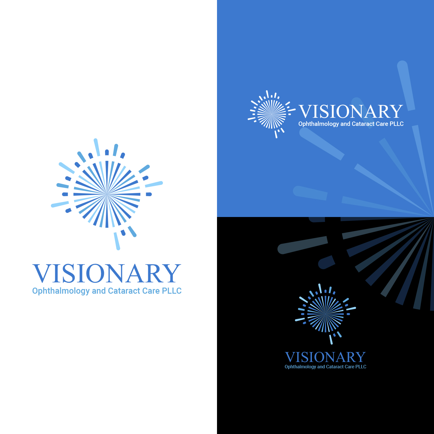 Logo Design by NZ Creatives for Niswander Eye Center | Design #24171878