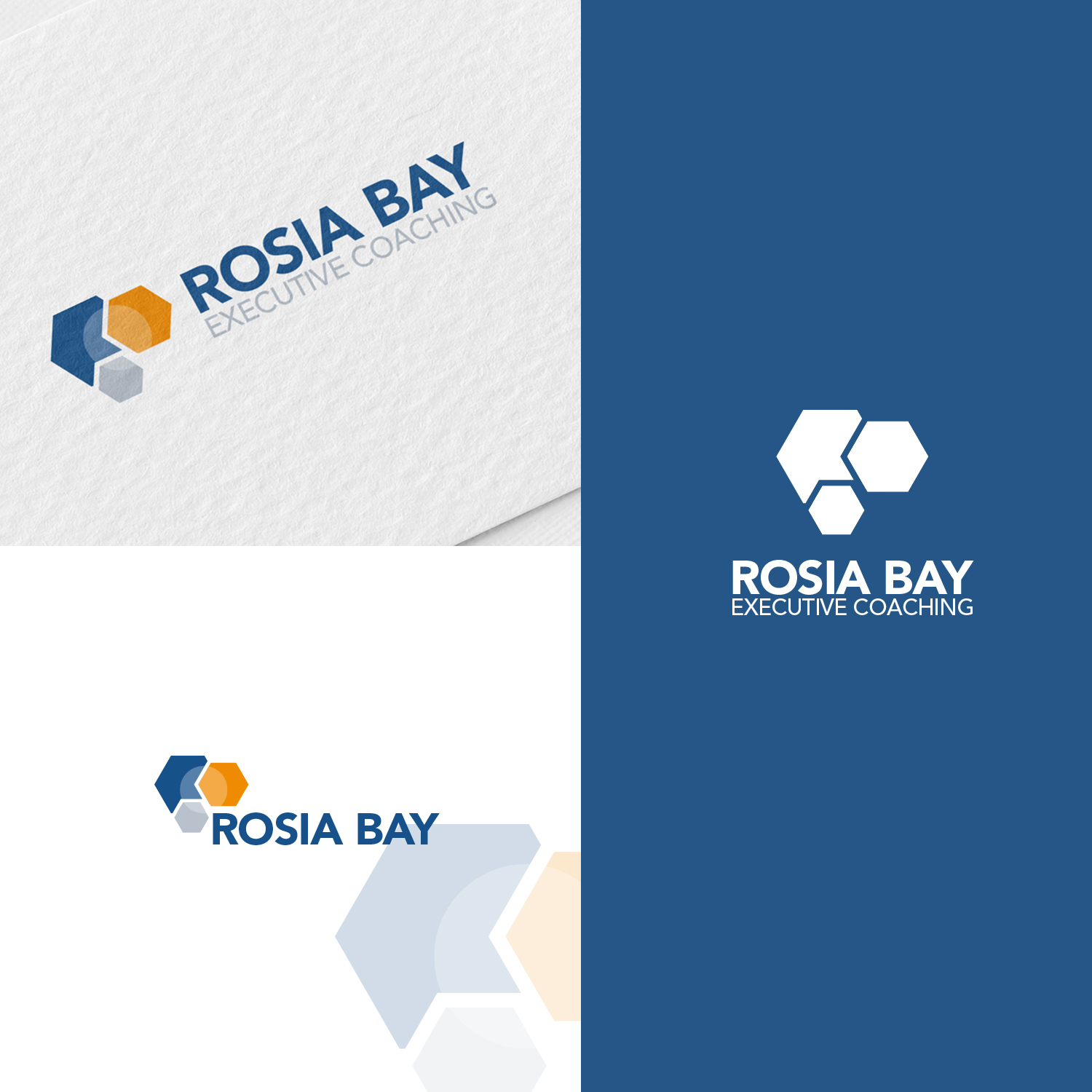 Design de Logo par nzdesigners pour ce projet | Design #24179787