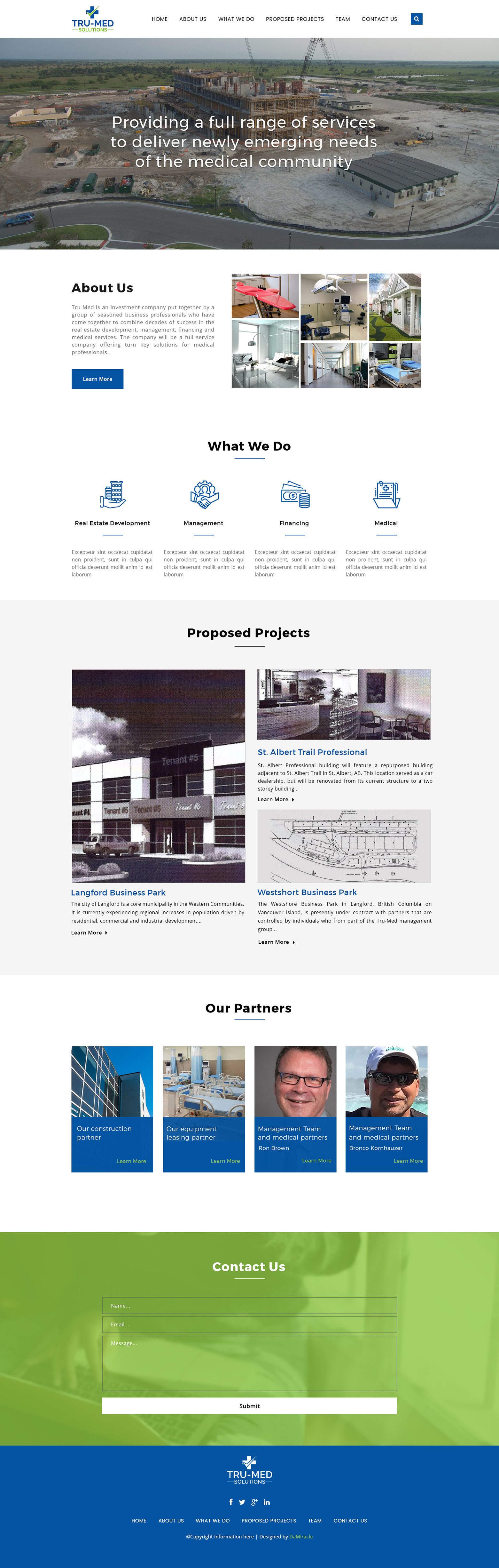 Diseño Web por Da Miracle para este proyecto | Diseño #24231217
