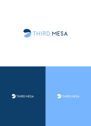 Third Mesa | Logo Design by 92logo