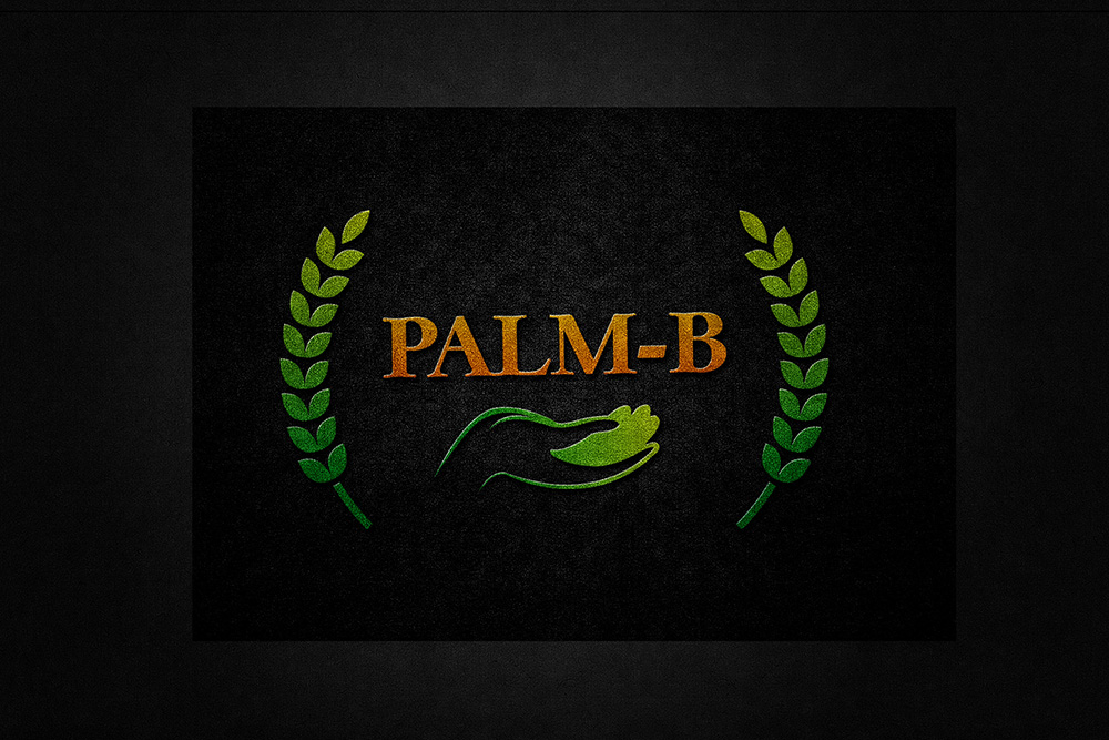 Logo-Design von Bhavesh 17 für Matteo Castioni | Design #24194700