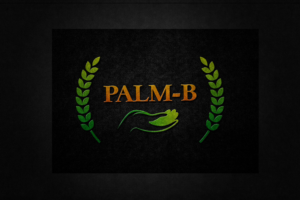 Logo Design by Bhavesh 17 for Matteo Castioni | Design: #24194700