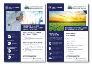 Fact/Marketing Sheet(s) for Health & Wellness Plan  | Diseño Gráfico por desainerd