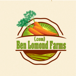 Logo Design by Giovanni for this project | Design: #24198954
