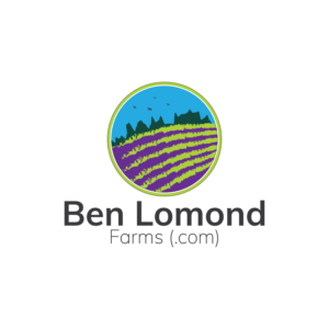 Logo Design by a.v.creation for this project | Design: #24208563