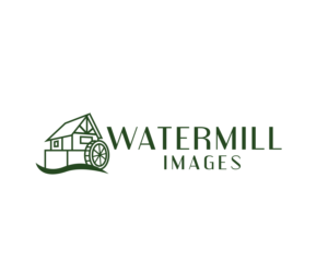 Logo Design by renderman