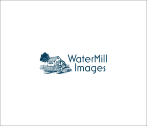 Logo Design by Ankit Bhattarai for this project | Design: #24196922