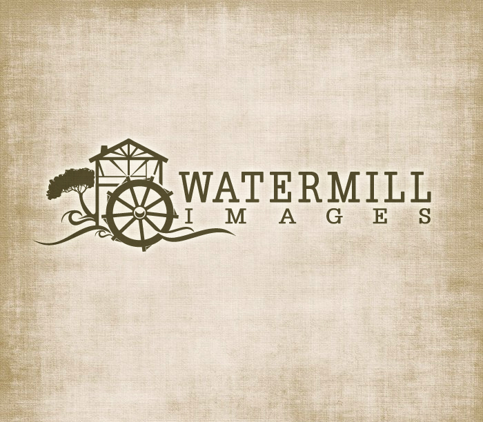 Logo Design by graphicevolution for this project | Design #24199265