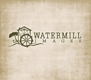 Logo Design by graphicevolution for this project | Design: #24199265