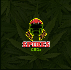 Logo Design by KOBES for this project | Design: #24228304