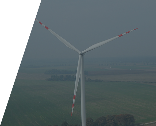 Web Design par ag622988 pour WPI Ltd. | Design #24436960