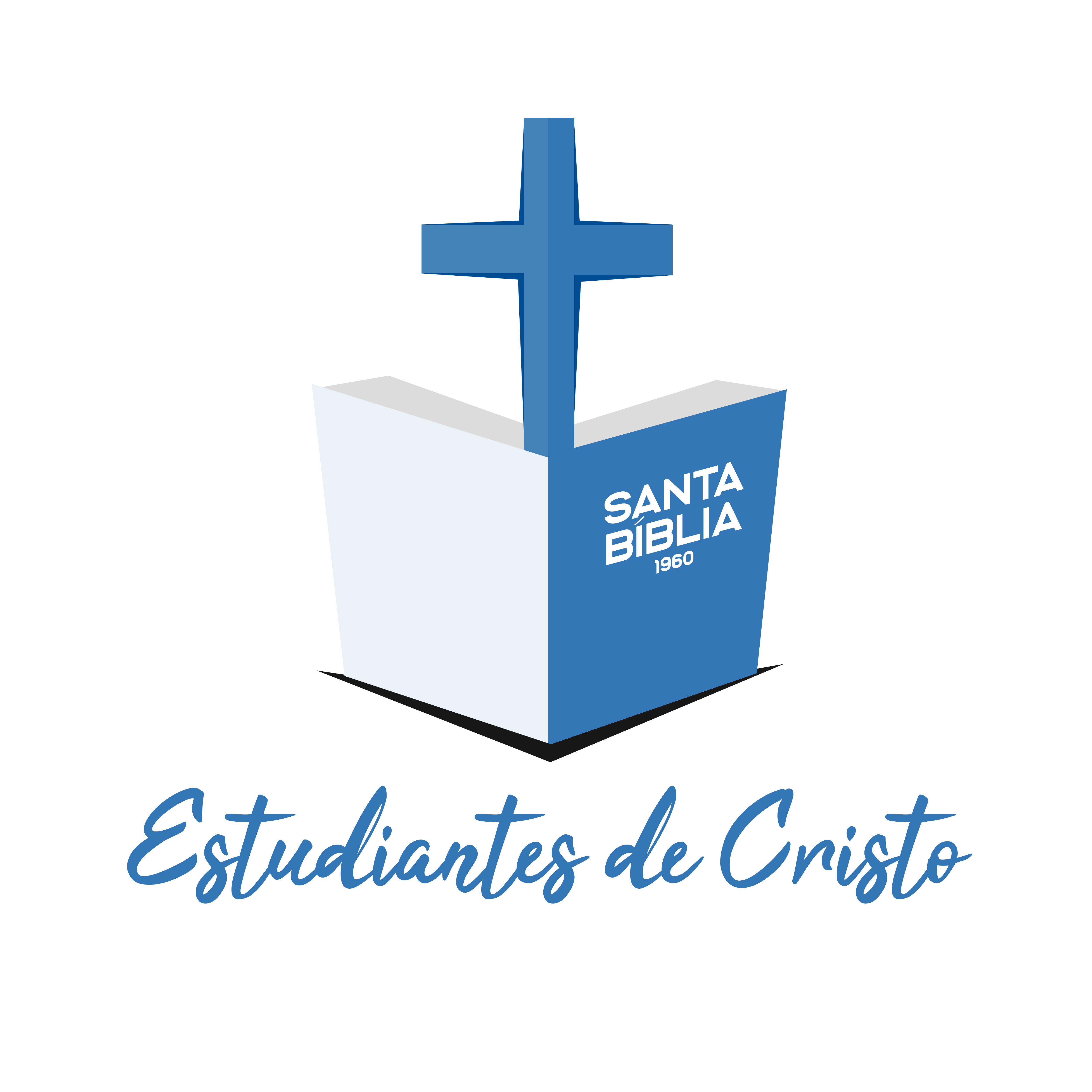 Design de Logo par Wuilcar pour BethLocalSEO | Design #24230423