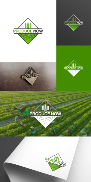 Logo Design by qholis studio