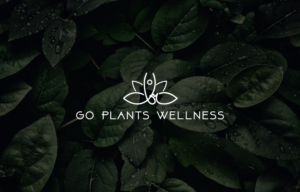Logo Design by saifahmed