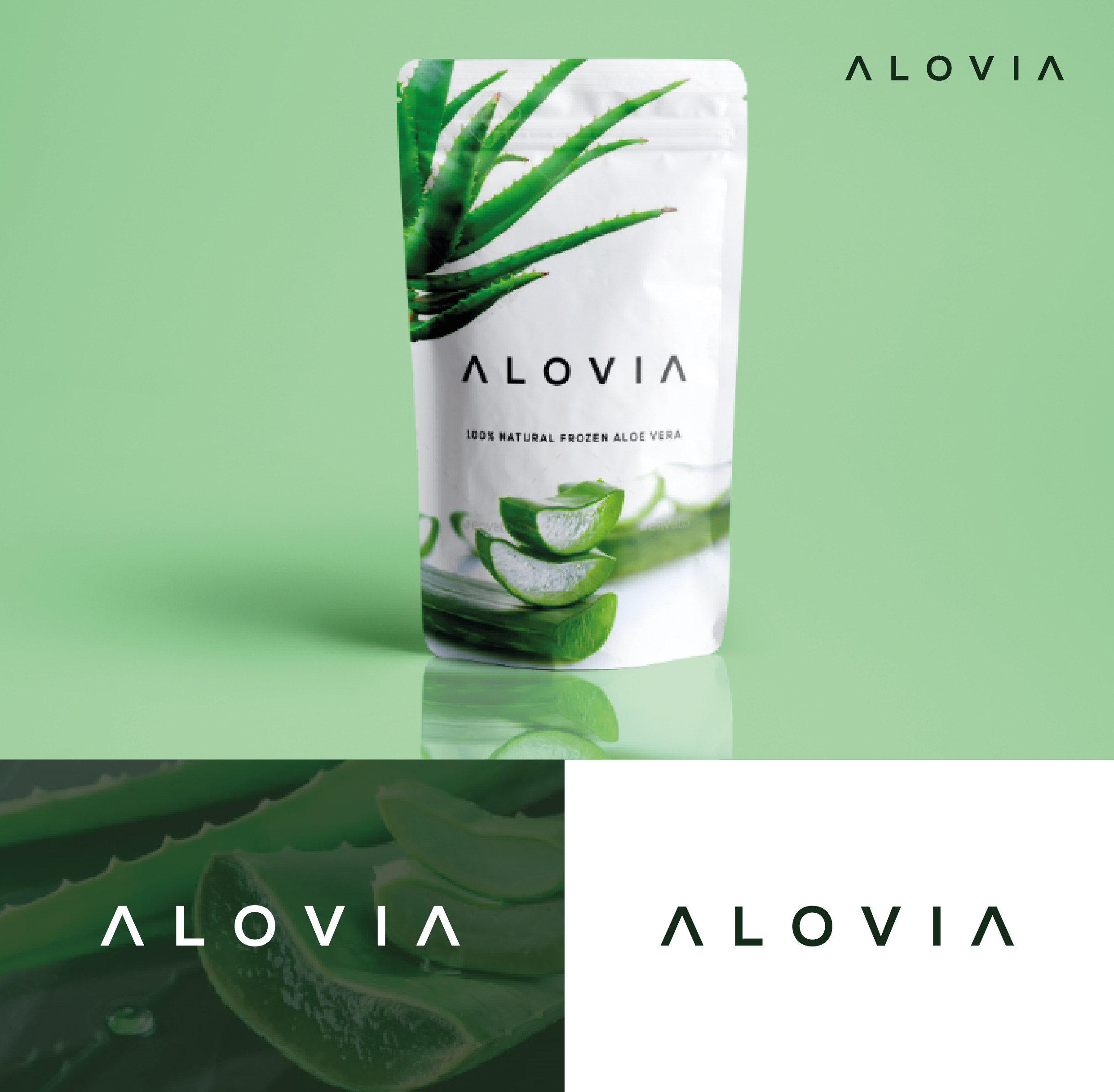Logo-Design von Anton für dieses Projekt | Design #24239932