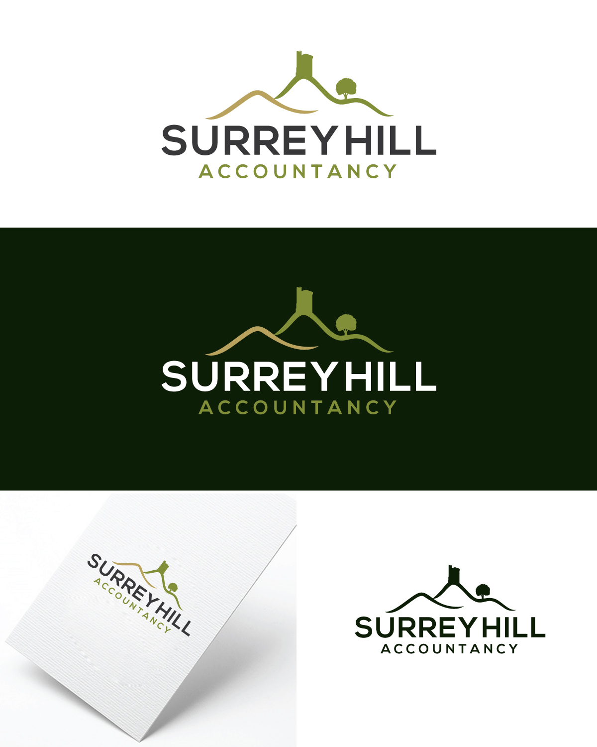 Logo Design by Logo bud design for Surrey Hills Accountancy Limited | Design #24240831