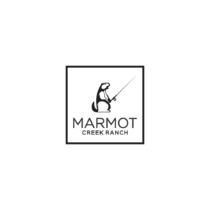 Logo Design by Harry 11