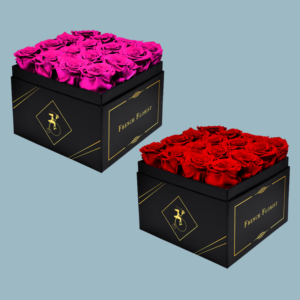 Packaging Design by paulkanjosh