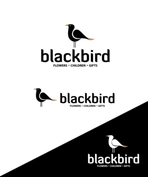 Blackbird | Logo Design by StudioD™