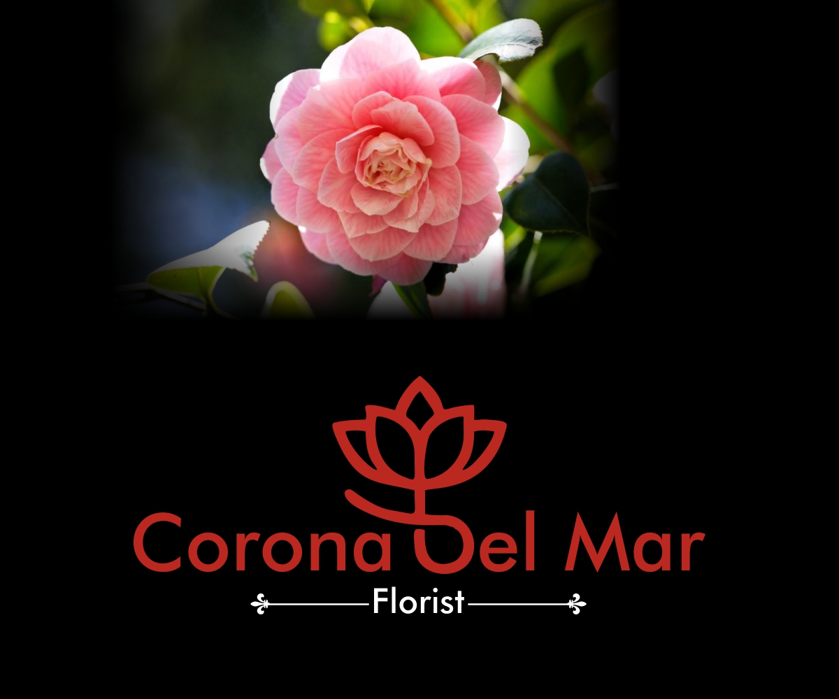 Logo Design by Rishabh 13 for this project | Design #24250575