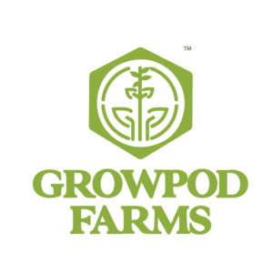 Logo Design by Taha Ahmed