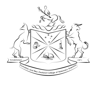 Illustration Design by ILB