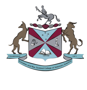 Illustration Design by ILB for this project | Design: #24312396