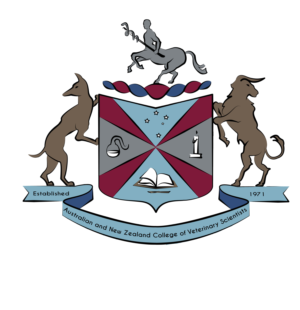 Illustration Design by ILB for this project | Design: #24312893