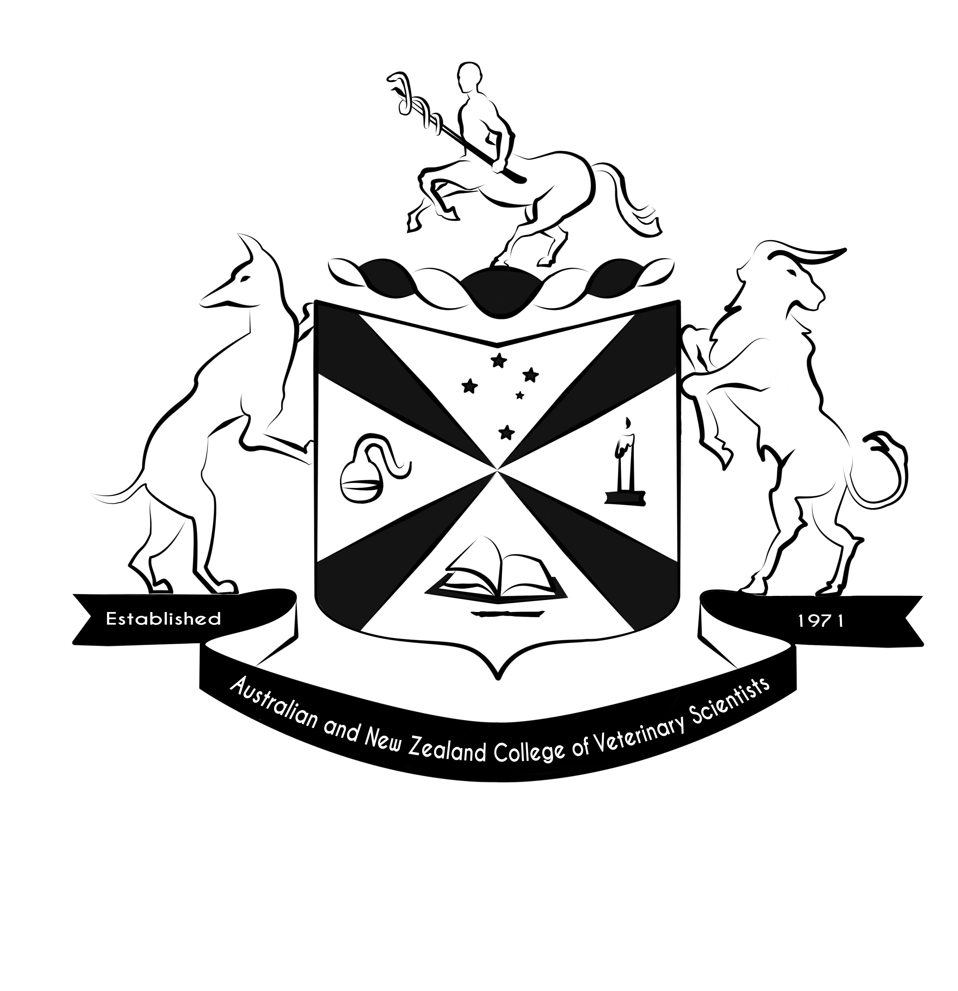 Illustration Design by ILB for this project | Design #24317263