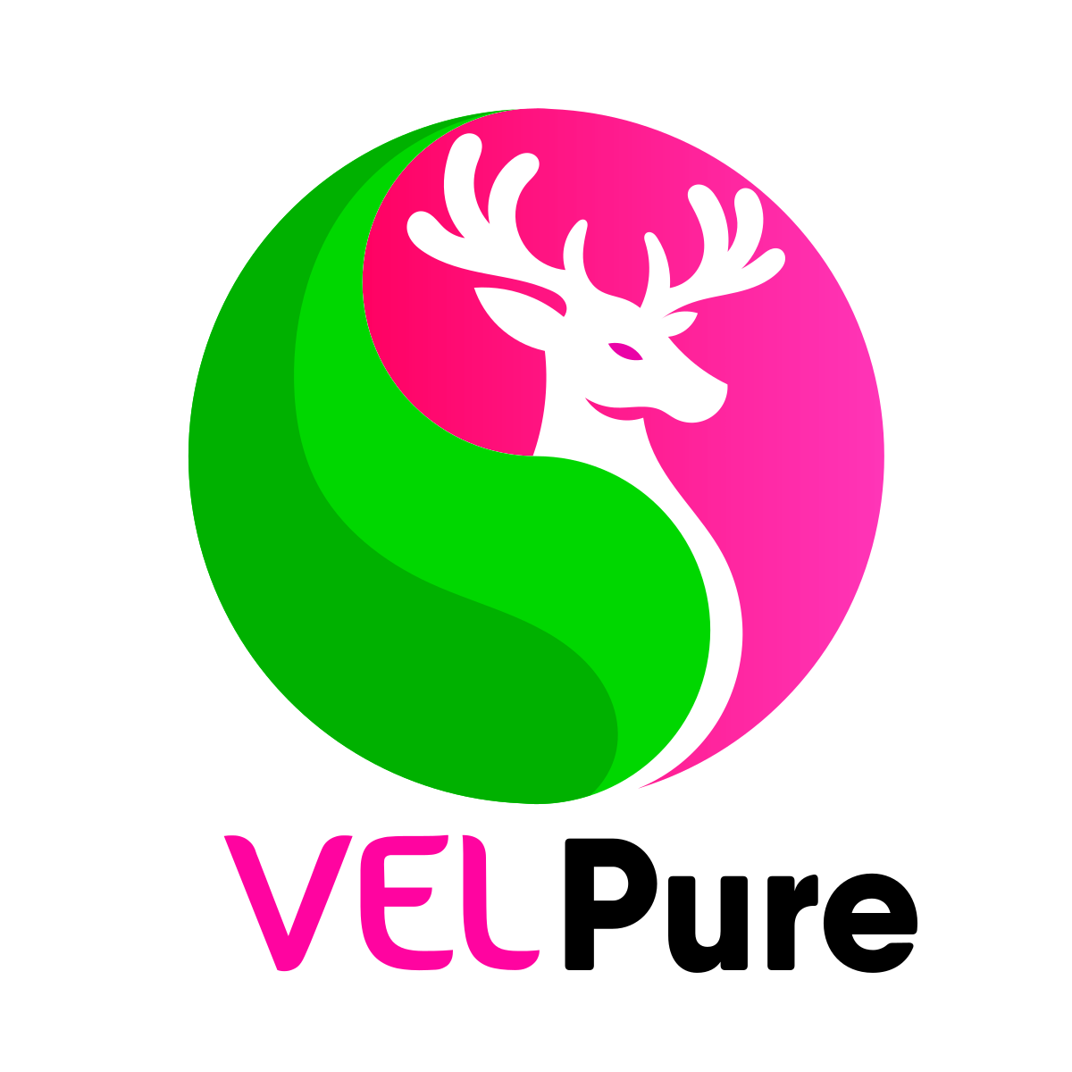 Logo Design by PixlWorks for Virtualsilver Group Ltd. | Design #24307627