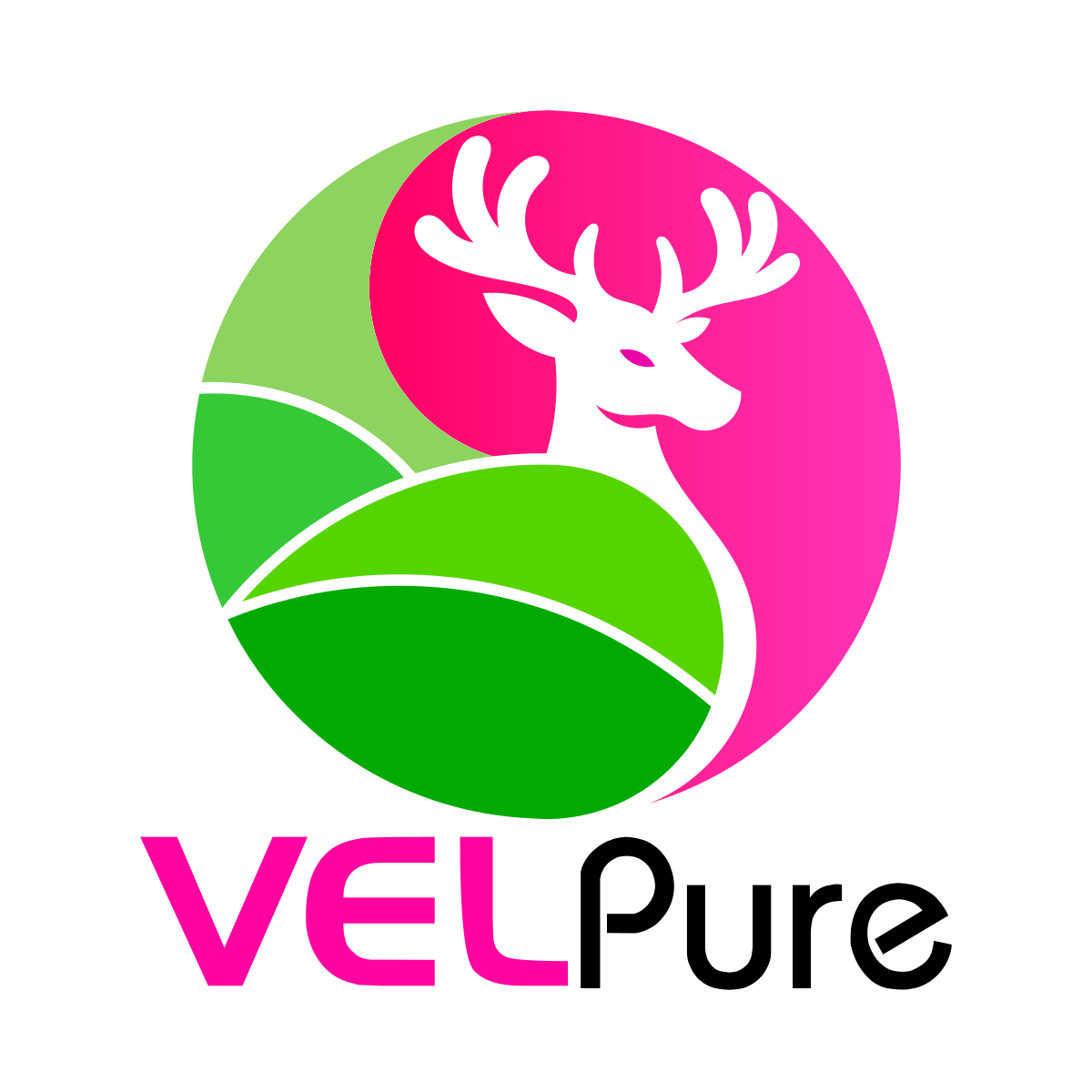 Logo Design by PixlWorks for Virtualsilver Group Ltd. | Design #24313101