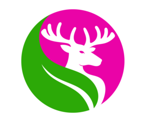 Logo Design by PixlWorks for Virtualsilver Group Ltd. | Design: #24418760