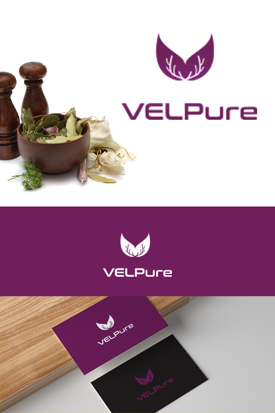 Logo Design by Branislav 0308 for Virtualsilver Group Ltd. | Design #24291970