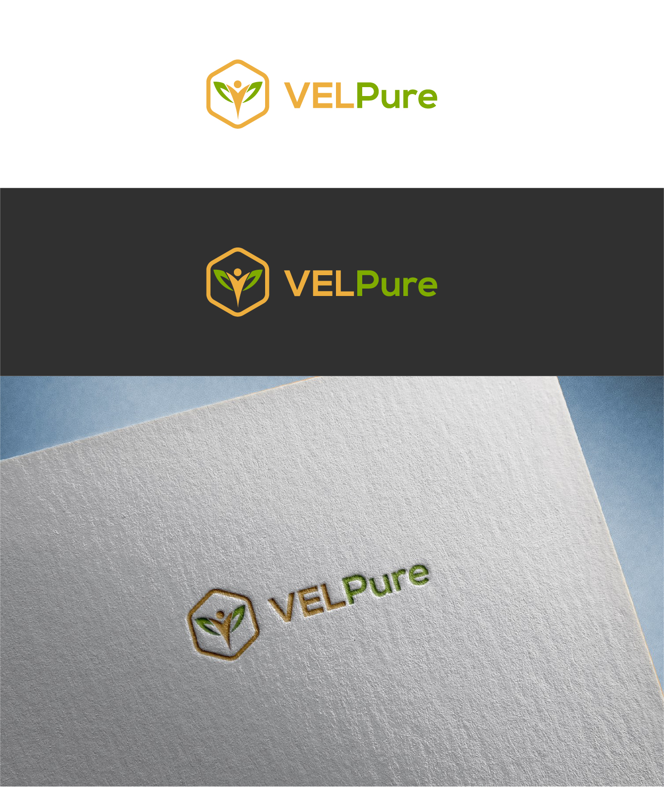 Logo Design by Muhammad Ishaq Raza for Virtualsilver Group Ltd. | Design #24261010