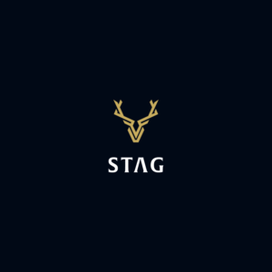 Logo Design by DsgnStory®