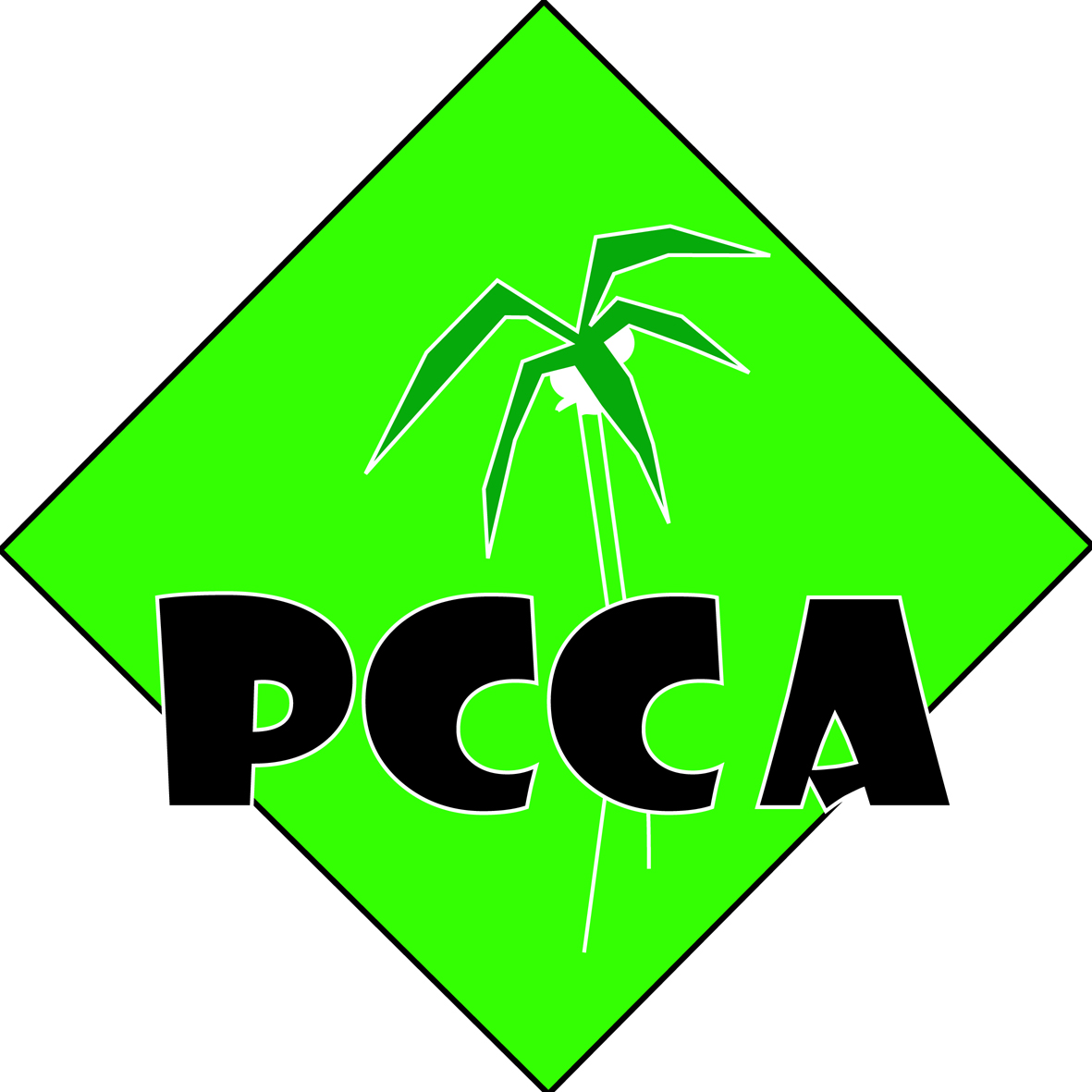 Design de Logo par Cláudia Polónia pour PCCA | Design #62724