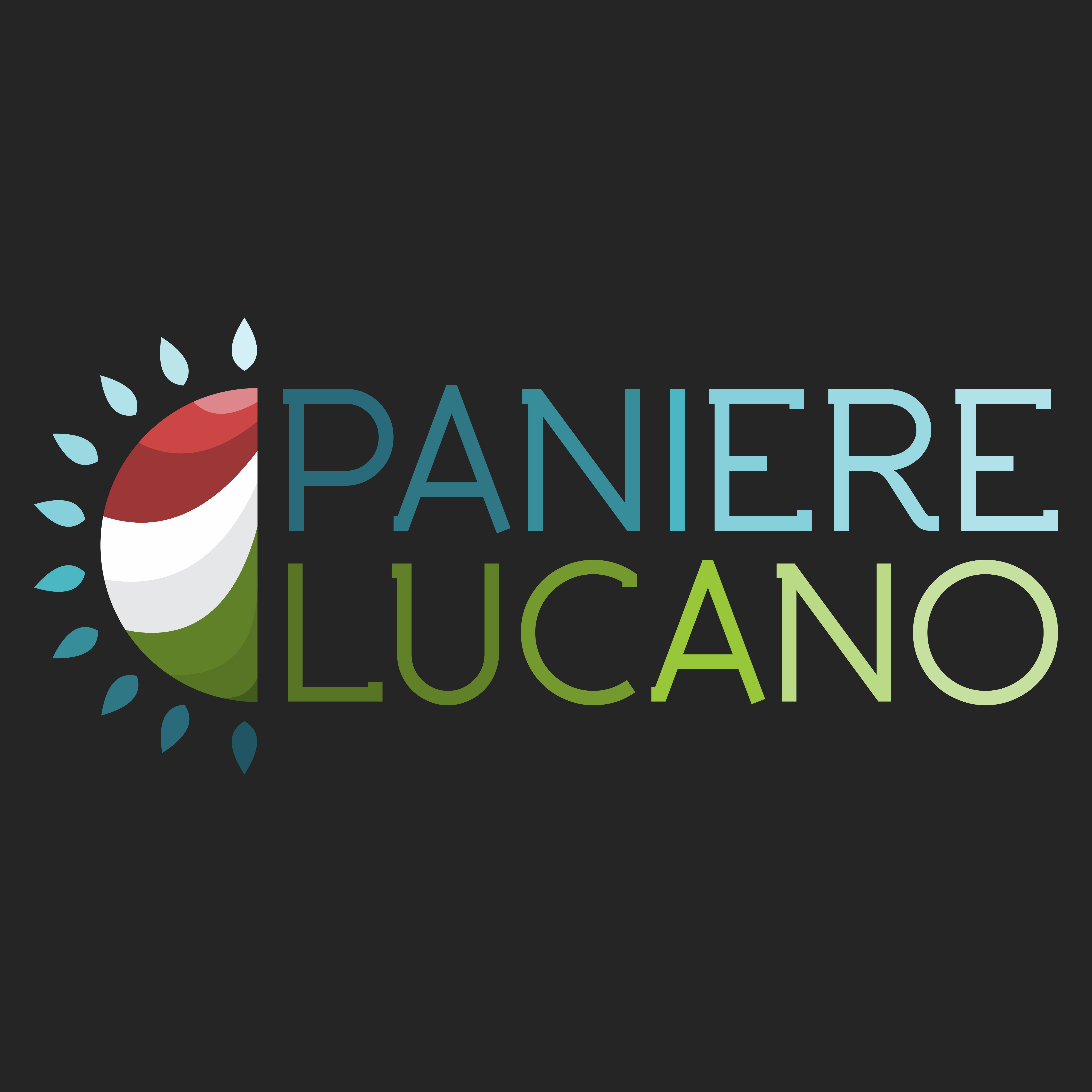 Design de Logo par Ajip19 pour Paciolo | Design #24332756