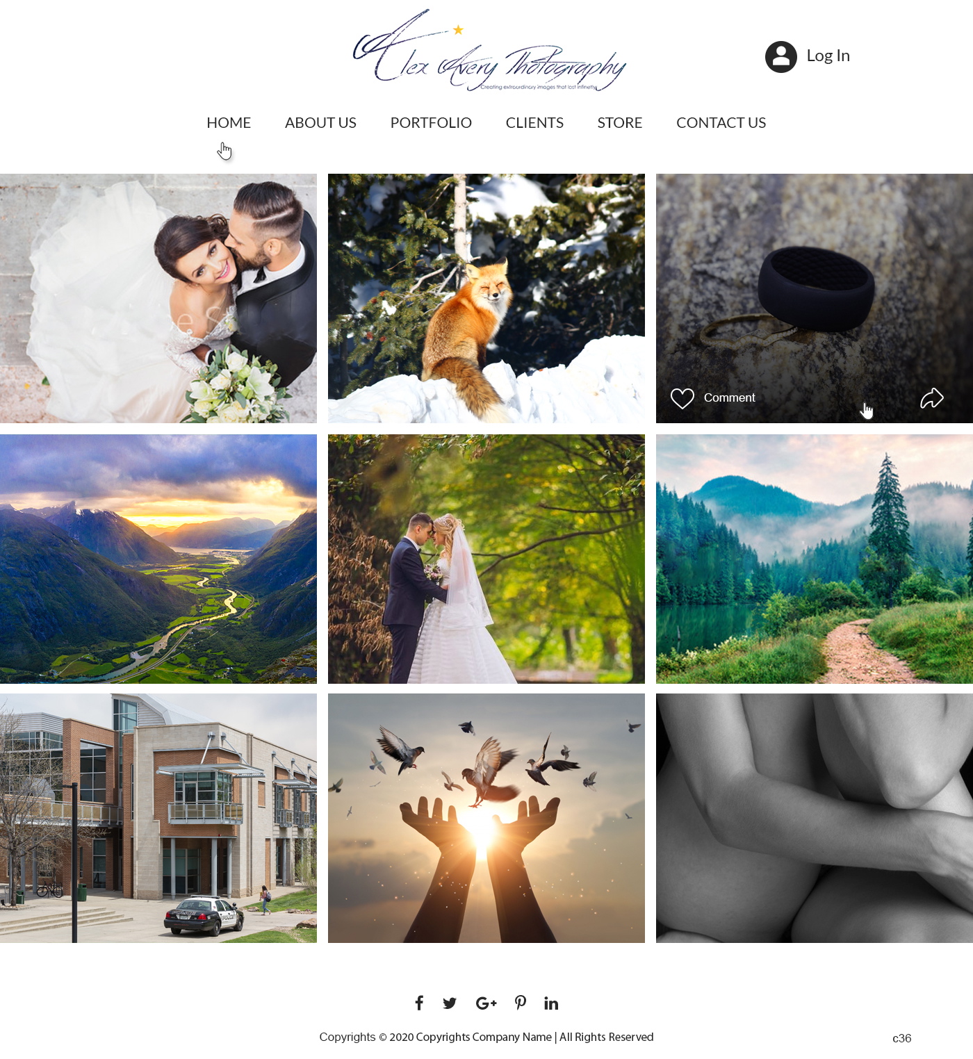 Web-Design von pb für Alex Avery Photography | Design #24312031