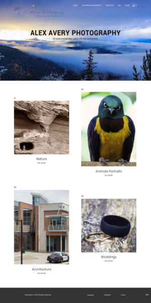 Web Design by pb for Alex Avery Photography | Design: #24312043