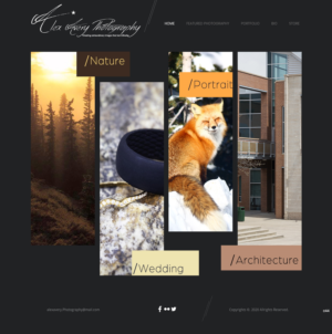 Web Design by pb for Alex Avery Photography | Design: #24312045