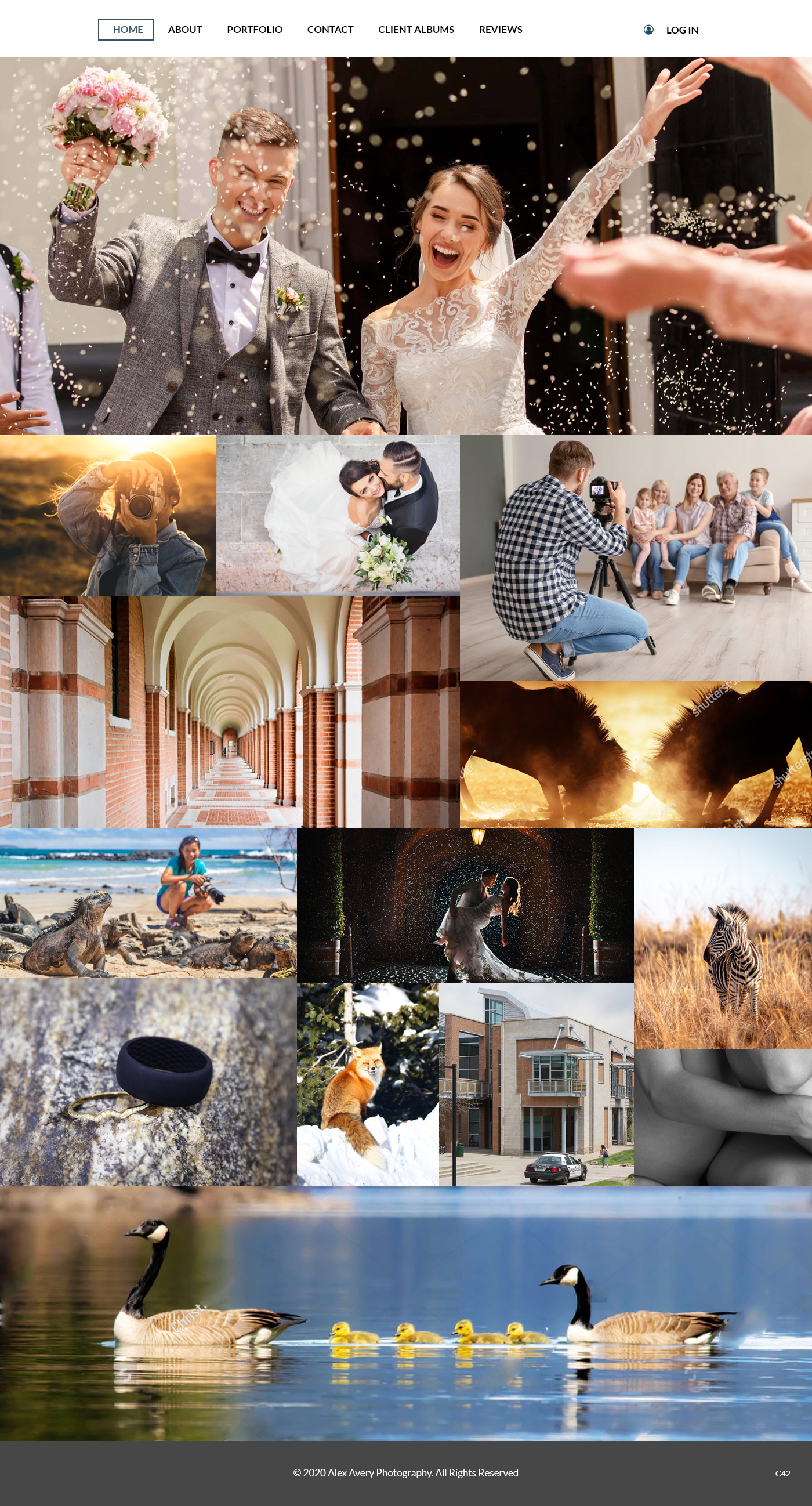 Web-Design von pb für Alex Avery Photography | Design #24312048