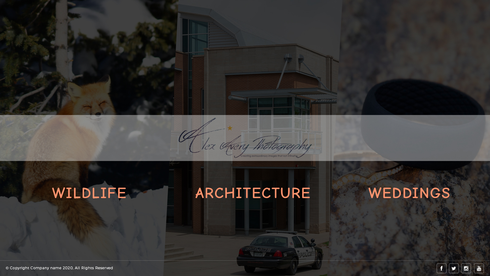 Web Design by sakshiinfoway for Alex Avery Photography | Design #24307124