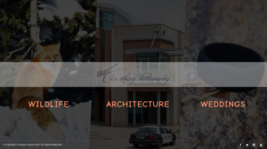Web Design by sakshiinfoway for Alex Avery Photography | Design: #24307124