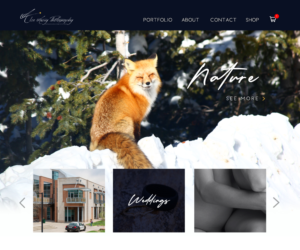 Web Design by tonirose