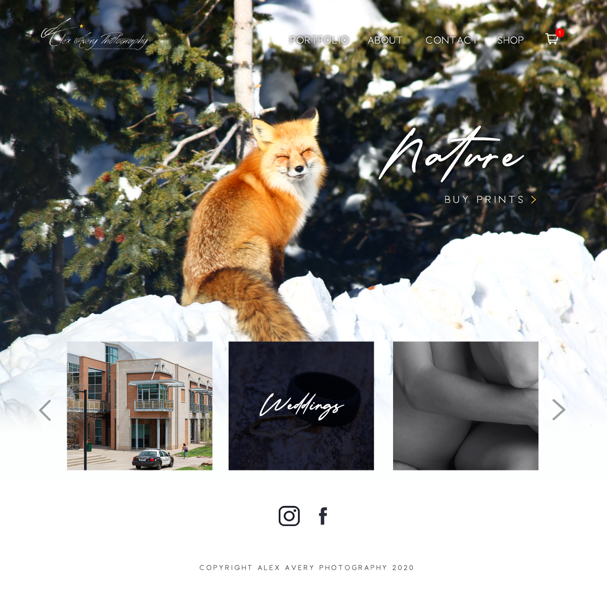 Web Design by tonirose for Alex Avery Photography | Design #24327081