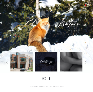 Web Design by tonirose for Alex Avery Photography | Design: #24327081