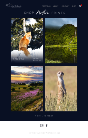Web Design by tonirose for Alex Avery Photography | Design: #24331757