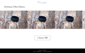 Web Design by jean871122 for Alex Avery Photography | Design: #24315785