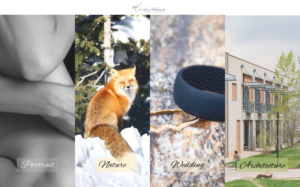 Web Design by jean871122 for Alex Avery Photography | Design: #24315786