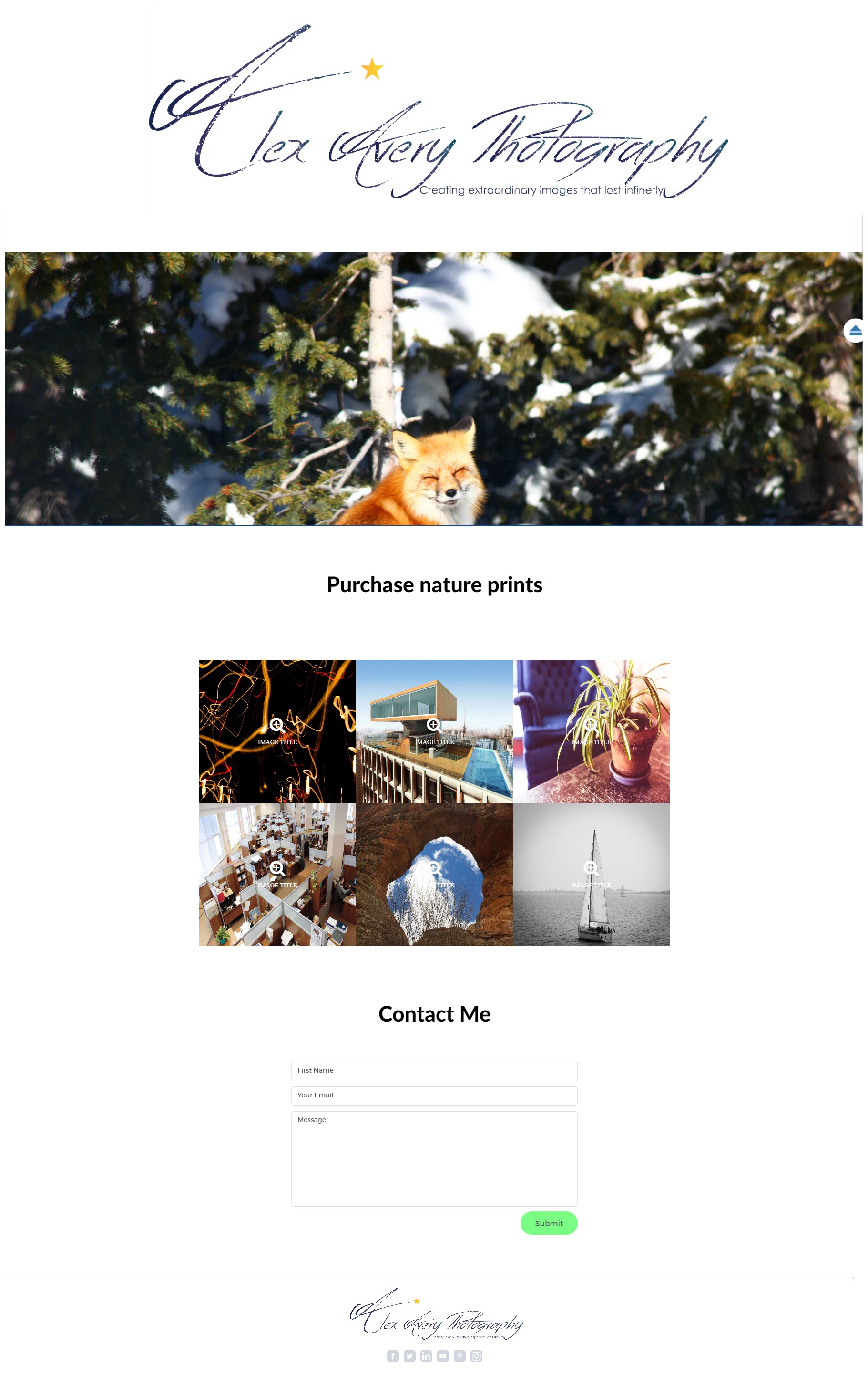 Web Design par VladanNik pour Alex Avery Photography | Design #24343527